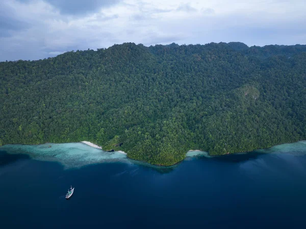 Απομακρυσμένα Τραχιά Νησιά Στη Δυτική Παπούα Ινδονησία Καλύπτονται Από Πυκνά — Φωτογραφία Αρχείου