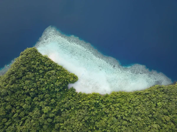 인도네시아 파푸아에 외딴곳에 바위투성이의 섬들은 무성하고 우림으로 있습니다 그대로 지방에는 — 스톡 사진