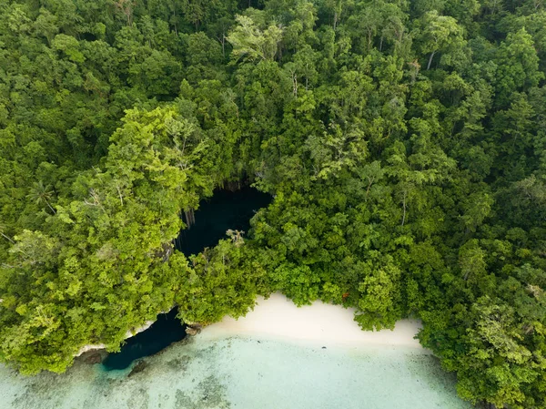 어두운 입구는 인도네시아 숲으로 석회암 가장자리에 석회암에는 바위가 침식되기 때문에 — 스톡 사진