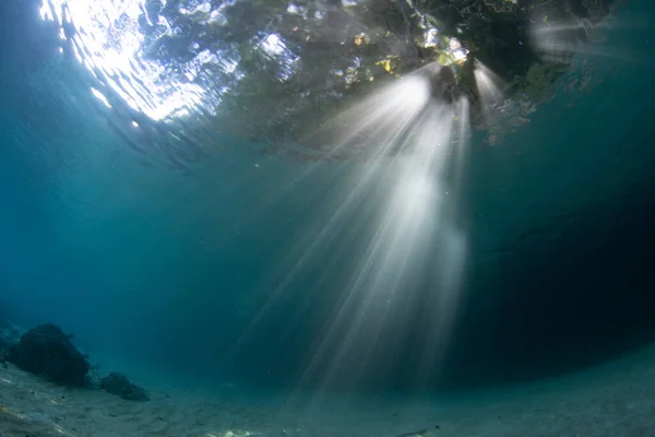 Beams Bright Sunlight Flicker Underwater Edge Tropical Island West Papua — Stock Photo, Image