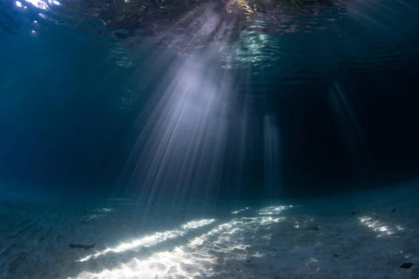 Promienie Jasnego Światła Słonecznego Migają Pod Wodą Skraju Tropikalnej Wyspy — Zdjęcie stockowe