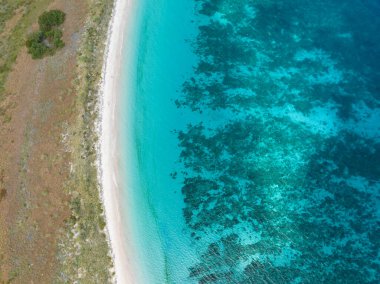 Temiz, ılık su Endonezya 'daki Komodo Ulusal Parkı' nda ıssız bir plajı yıkıyor. Küçük Sunda Adaları 'nın bu kısmı olağanüstü deniz biyolojik çeşitliliğine ev sahipliği yapar..