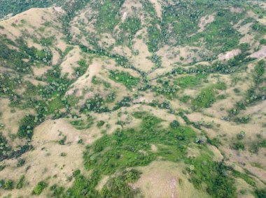 Endonezya 'daki Komodo Ulusal Parkı' ndaki Rinca Adası çimen ve seyrek ormanlarla kaplıdır. Rinca, Komodo Adası 'na yakın bir yerde birçok Komodo ejderhasının evidir ve güzel mercan resifleriyle çevrilidir..
