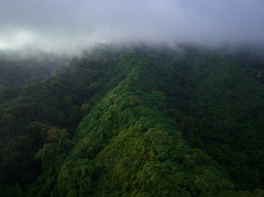 Endonezya 'daki Komodo Ulusal Parkı yakınlarındaki Sangeang adasından uzak, volkanik bir ada yükselir. Bu güzel ada, siyah kum deniz habitatlarıyla ünlüdür..