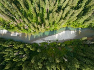 Thunder Creek, Kuzey Cascades Ulusal Parkı 'ndaki orman dağlarının arasından akar. Kuzey Washington 'un bu dağlık bölgesine yaz aylarında çok güzel ve kolayca ulaşılabilir..