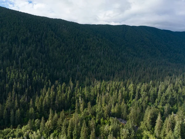 Olimpiyat Ulusal Parkı 'ndaki engebeli, ormanlı arazide bulutlar sürükleniyor. Batı Washington 'un bu dağlık bölgesine yaz aylarında çok güzel ve kolayca ulaşılabilir..