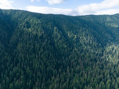 Olimpiyat Ulusal Parkı 'ndaki engebeli, ormanlı arazide bulutlar sürükleniyor. Batı Washington 'un bu dağlık bölgesine yaz aylarında çok güzel ve kolayca ulaşılabilir..
