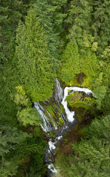 Seen from a bird\'s eye perspective, the impressive Panther Creek Falls flows through the Gifford Pinchot National Forest in Washington. This beautiful area is not far from the Columbia River Gorge.