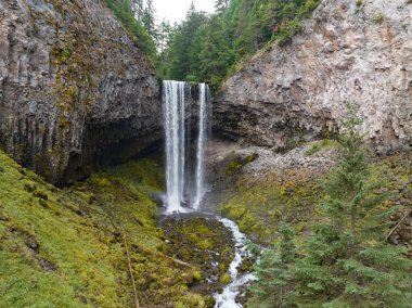 Mount Dağı 'nın doğu yamacında bulundu. Hood, Oregon, etkileyici Tamawanas Şelalesi 45 metreden fazla yüksekten muhteşem bir ormana düşüyor. Portland 'dan çok uzak olmayan Oregon' un en muhteşem şelalelerinden biri..  