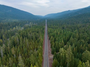 Pasifiğin kuzeybatısındaki uçsuz bucaksız bir ormandan geçen ıssız bir yol..
