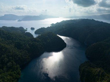 Mercan resifleri, Raja Ampat 'taki Waigeo Adası' ndaki büyük bir su kütlesi olan Alyui Körfezi 'ndeki adaları sınırlandırır. Bu bölge inanılmaz deniz biyolojik çeşitliliği nedeniyle Mercan Üçgeni 'nin kalbi olarak bilinir..