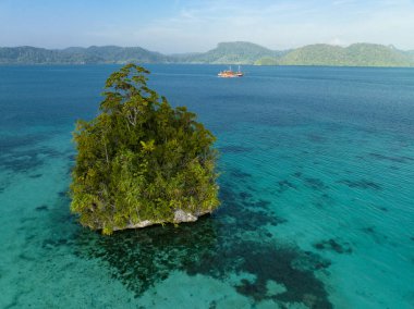 Tropikal bitki örtüsüyle kaplı kireçtaşı adaları, Endonezya 'daki Raja Ampat, Alyui Körfezi' ndeki mercan resifleriyle çevrilidir. Bu bölgedeki mercan resifleri dünyadaki en büyük deniz biyolojik çeşitliliğini destekler..
