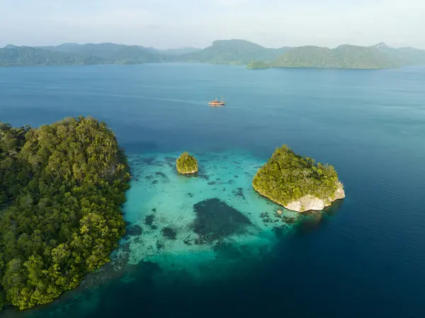 Limestone islands, covered by tropical vegetation, are fringed by coral reefs in Alyui Bay, Raja Ampat, Indonesia. The coral reefs of this region support the greatest marine biodiversity on Earth.