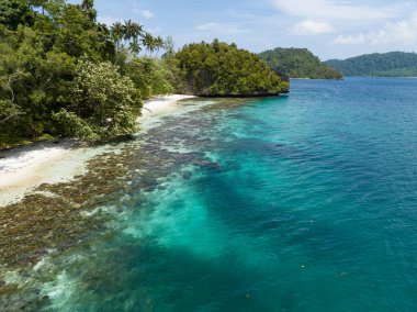 Raja Ampat, Alyui Körfezi 'nde manzaralı bir adanın kenarında sığ bir mercan resifi yetişir. Bu manzaralı alan inanılmaz deniz biyolojik çeşitliliği nedeniyle Mercan Üçgeni 'nin kalbi olarak bilinir..