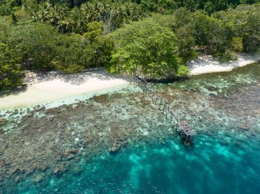Raja Ampat, Alyui Körfezi 'nde manzaralı bir adanın kenarında sığ bir mercan resifi yetişir. Bu manzaralı alan inanılmaz deniz biyolojik çeşitliliği nedeniyle Mercan Üçgeni 'nin kalbi olarak bilinir..