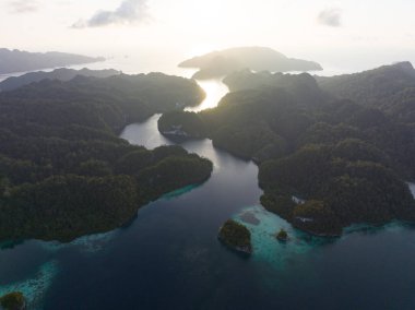Alyui Körfezi 'ndeki sakin ve dar bir kanalı çevreleyen orman kaplı engebeli adalar, Raja Ampat. Bu manzaralı alan inanılmaz deniz biyolojik çeşitliliği nedeniyle Mercan Üçgeni 'nin kalbi olarak bilinir..