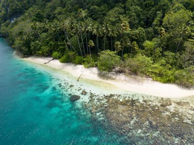 Raja Ampat, Alyui Körfezi 'nde manzaralı bir adanın kenarında sığ bir mercan resifi yetişir. Bu manzaralı alan inanılmaz deniz biyolojik çeşitliliği nedeniyle Mercan Üçgeni 'nin kalbi olarak bilinir..
