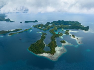 Pef 'in inanılmaz manzaralı adaları mangrov ağaçlarıyla çevrili ve güzel mercan resifleriyle çevrili. Kuzey Raja Ampat 'ta bulunan bu adalar inanılmaz bir biyolojik çeşitlilik dizisini destekliyor..