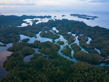 Büyük Gam adasının içindeki manzara adaları mangrov ormanları ve güzel mercan resifleriyle çevrelenmiştir. Kuzey Raja Ampat 'ta bulunan bu adalar inanılmaz bir biyolojik çeşitlilik dizisini destekliyor..