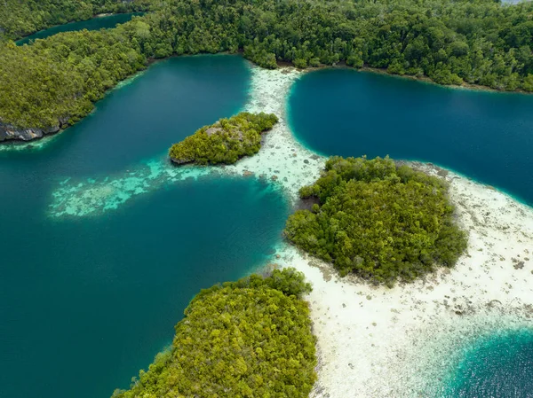 Pef 'in inanılmaz manzaralı adaları mangrov ağaçlarıyla çevrili ve güzel mercan resifleriyle çevrili. Kuzey Raja Ampat 'ta bulunan bu adalar inanılmaz bir biyolojik çeşitlilik dizisini destekliyor..