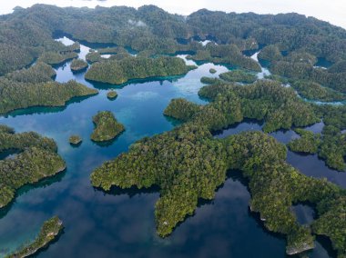 Büyük Gam adasının içindeki manzara adaları mangrov ormanları ve güzel mercan resifleriyle çevrelenmiştir. Kuzey Raja Ampat 'ta bulunan bu adalar inanılmaz bir biyolojik çeşitlilik dizisini destekliyor..