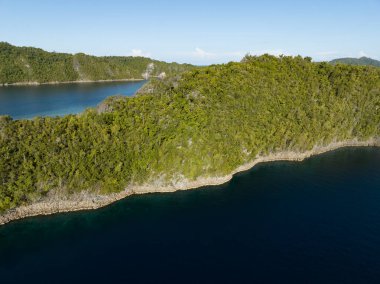 Penemu 'nun inanılmaz manzaralı adaları güzel mercan resifleriyle çevrilidir. Kuzey Raja Ampat 'ta bulunan bu adalar inanılmaz bir biyolojik çeşitlilik dizisini destekliyor..