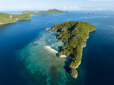 Penemu 'nun inanılmaz manzaralı adaları güzel mercan resifleriyle çevrilidir. Kuzey Raja Ampat 'ta bulunan bu adalar inanılmaz bir biyolojik çeşitlilik dizisini destekliyor..