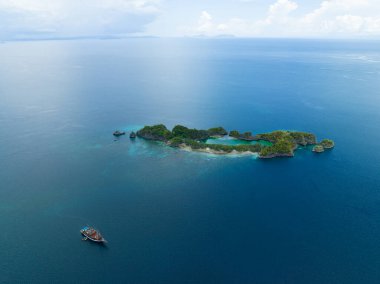 Raja Ampat 'ın Penemu yakınlarındaki Idyllic Rufas Adası sağlıklı mercanlar ve açık denizlerle çevrilidir. Bu ada ve bölgedeki diğer adalar dünyadaki en yüksek deniz biyolojik çeşitliliğini destekliyor..