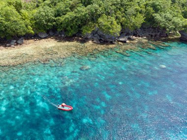 Kuş bakışı bakıldığında, sağlıklı bir mercan resifi Endonezya, Ambon yakınlarındaki yemyeşil, tropik bir adayı sınırlandırır. Bu uzak, tropikal alan olağanüstü deniz biyolojik çeşitliliğine ev sahipliği yapıyor..