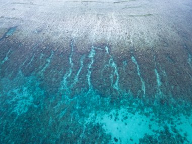 Endonezya, Ambon 'daki sığ bir mercan resifinde kuş bakışı ve oyuk kanallarından görüldü. Bu bölge olağanüstü deniz biyolojik çeşitliliğine ev sahipliği yapıyor..
