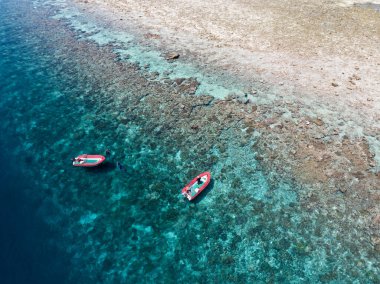 Snorkeller, Endonezya 'nın Seram kenti yakınlarındaki Koon adasında yıkanan suları keşfeder. Bu manzaralı adanın mercan resifleri ve çevreleyen denizler olağanüstü deniz biyolojik çeşitliliğini destekler..