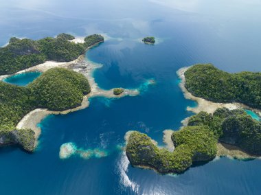 Misool, Raja Ampat, Endonezya 'daki etkileyici deniz manzarasından kireçtaşı adaları yükselir. Bu manzaralı adaların mercan resifleri ve çevreleyen denizler olağanüstü deniz biyolojik çeşitliliğini destekler..