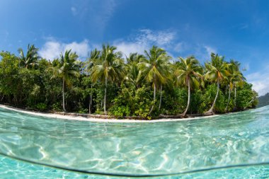 Endonezya 'nın Raja Ampat kentindeki berrak, sakin ve ılık bir adanın çevresini sarar. Bu uzak bölge zarif mercan resifleri ve genel deniz biyolojik çeşitliliği ile bilinir..