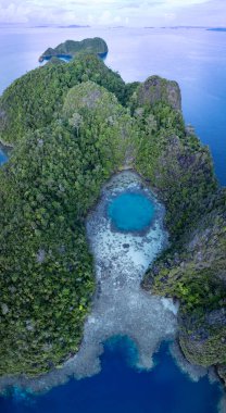 Raja Ampat 'ın tropikal deniz manzarasından güzel kireçtaşı adalar yükselir. Endonezya 'nın bu bölgesi, orada bulunan olağanüstü deniz biyolojik çeşitliliği nedeniyle Mercan Üçgeni' nin kalbi olarak bilinir..