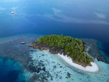 Raja Ampat 'ın deniz manzarasında resiflerle çevrili uzak bir ada bulunur. Endonezya 'nın bu bölgesi, orada bulunan olağanüstü deniz biyolojik çeşitliliği nedeniyle Mercan Üçgeni' nin kalbi olarak bilinir..