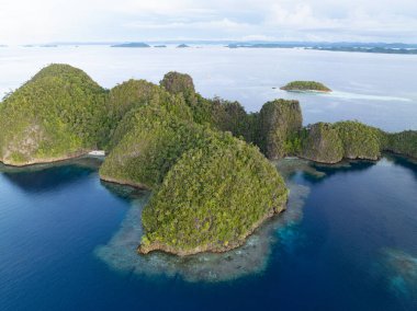 Beautiful limestone islands rise from Raja Ampat's tropical seascape. This region of Indonesia is known as the heart of the Coral Triangle due to the extraordinary marine biodiversity found there. clipart