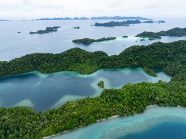 Raja Ampat 'ın tropikal deniz manzarasından güzel kireçtaşı adalar yükselir. Endonezya 'nın bu bölgesi, orada bulunan olağanüstü deniz biyolojik çeşitliliği nedeniyle Mercan Üçgeni' nin kalbi olarak bilinir..