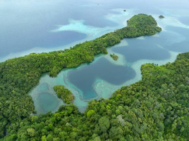 Raja Ampat 'ın tropikal deniz manzarasından güzel kireçtaşı adalar yükselir. Endonezya 'nın bu bölgesi, orada bulunan olağanüstü deniz biyolojik çeşitliliği nedeniyle Mercan Üçgeni' nin kalbi olarak bilinir..
