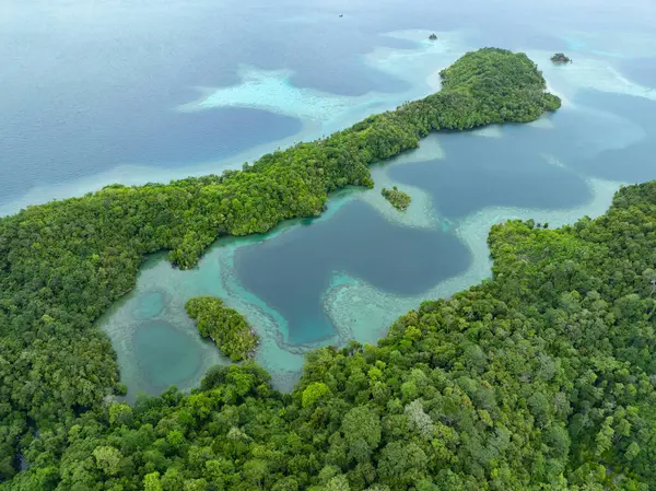 Raja Ampat 'ın tropikal deniz manzarasından güzel kireçtaşı adalar yükselir. Endonezya 'nın bu bölgesi, orada bulunan olağanüstü deniz biyolojik çeşitliliği nedeniyle Mercan Üçgeni' nin kalbi olarak bilinir..