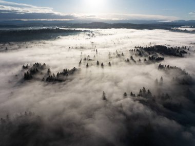 Sabahın erken saatlerinde, Portland 'ın güneyi olmayan kuzey Oregon' daki Willamette Vadisi 'ne yerleşen sisi aydınlatır. Kuzeybatı Pasifik 'in tamamı nemli ve ılıman iklimiyle bilinir..