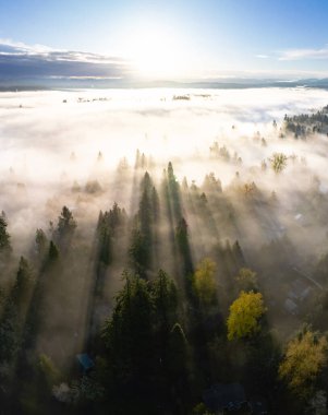 Sabahın erken saatlerinde, Portland 'ın güneyi olmayan kuzey Oregon' daki Willamette Vadisi 'ne yerleşen sisi aydınlatır. Kuzeybatı Pasifik 'in tamamı nemli ve ılıman iklimiyle bilinir..