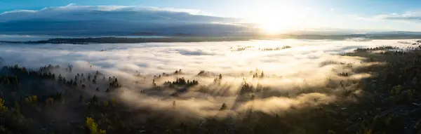 清晨的阳光照亮了已经在俄勒冈州北部靠近波特兰南部的威拉米特山谷定居下来的浓雾 整个太平洋西北部以潮湿 温和的气候而闻名 免版税图库照片