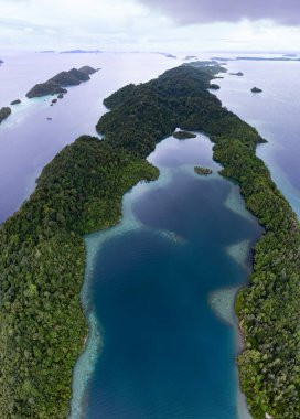 Resiflerle çevrili kireçtaşı adaları, Raja Ampat 'ın tropik deniz manzarasından yükselir. Endonezya 'nın bu bölgesi, orada bulunan yüksek deniz biyolojik çeşitliliği nedeniyle Mercan Üçgeni' nin kalbi olarak bilinir..