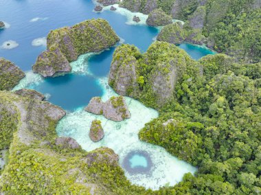 Resiflerle çevrili Balbalbalol 'un kireçtaşı adaları, Raja Ampat' ın tropikal deniz manzarasından yükselir. Bu bölge, Mercan Üçgeni 'nin kalbi olarak bilinir. Orada bulunan yüksek deniz biyolojik çeşitliliği nedeniyle..