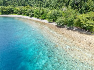 Bir mercan resifi güney Batanta, Raja Ampat kıyılarını sarar. Bu bölge, Mercan Üçgeni 'nin kalbi olarak bilinir. Orada bulunan yüksek deniz biyolojik çeşitliliği nedeniyle..