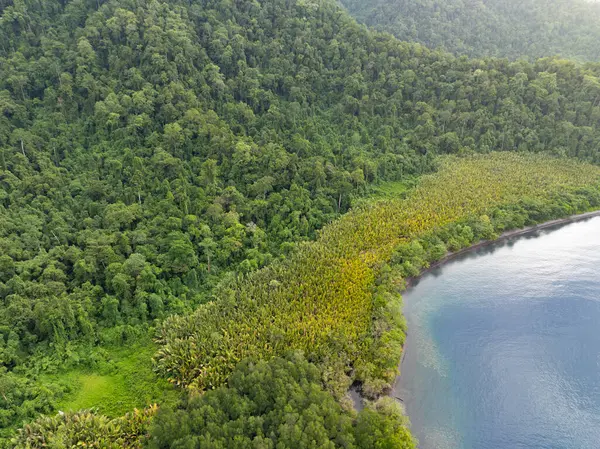 茂密的热带雨林覆盖了巴坦塔南部美丽的海岸 Raja Ampat 该地区因其海洋生物多样性高而被称为珊瑚三角区的中心 图库图片