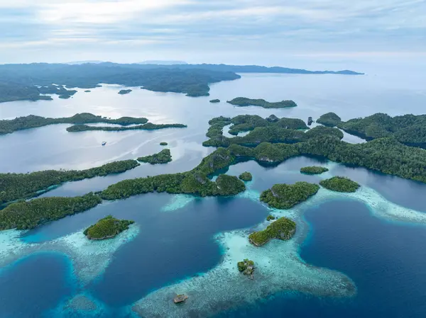 Scenic Limestone Islands Pef Fringed Reef Rise Raja Ampat Tropical Stock Image
