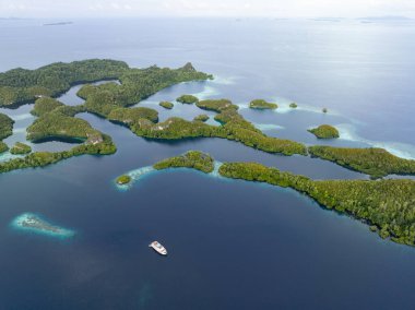 The scenic limestone islands of Pef, fringed by reef, rise from Raja Ampat's tropical seascape. This part of Indonesia is known as the heart of the Coral Triangle due its high marine biodiversity. clipart