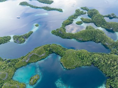 Resiflerle çevrili Pef 'in manzaralı kireçtaşı adaları, Raja Ampat' ın tropikal deniz manzarasından yükselir. Endonezya 'nın bu bölgesi yüksek deniz biyolojik çeşitliliği nedeniyle Mercan Üçgeni' nin kalbi olarak bilinir..