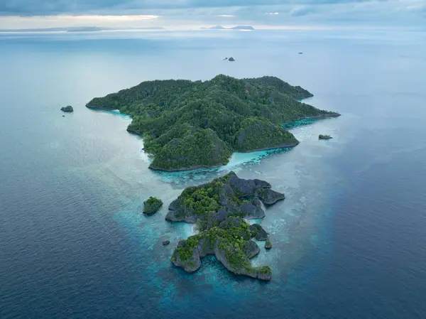 美丽的石灰岩岛屿Penemu 与珊瑚礁相连 从Raja Ampat的热带海景中升起 印度尼西亚的这一地区因其海洋生物多样性高而被称为珊瑚三角的中心 图库照片